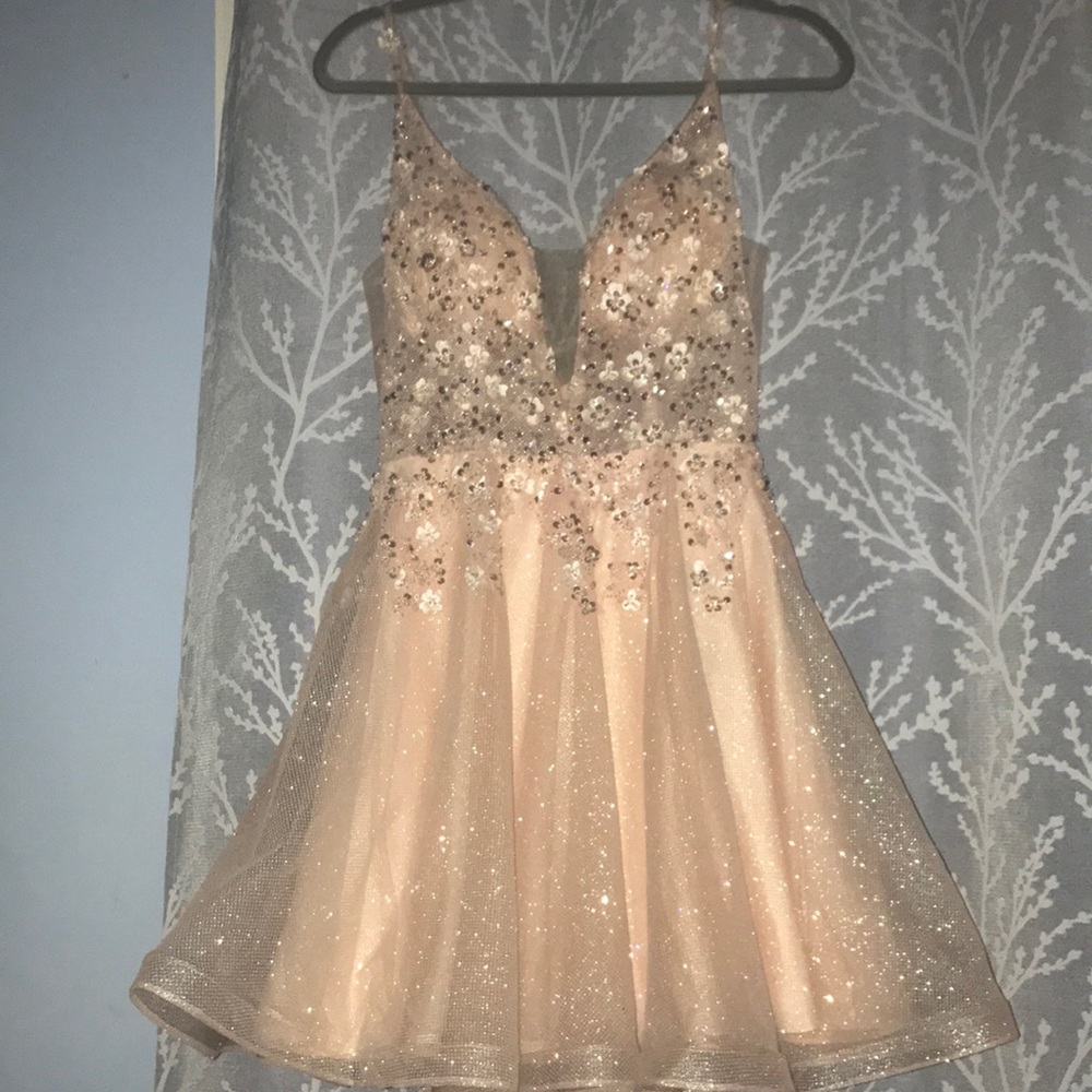 Raelyn 3D Flower Fit and Flare Dress in Blush